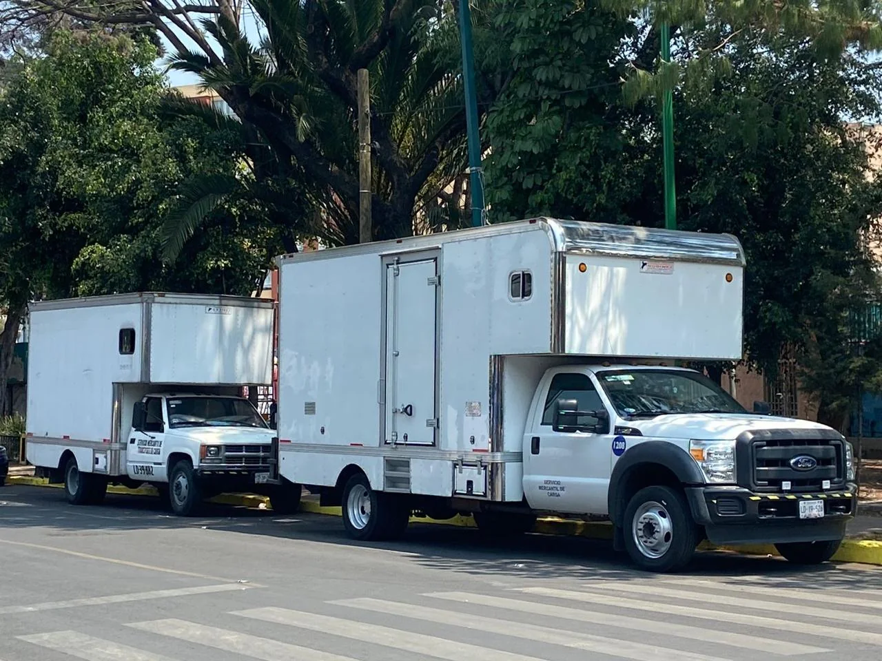 Unidades de MyT Gutiérrez en una calle arbolada